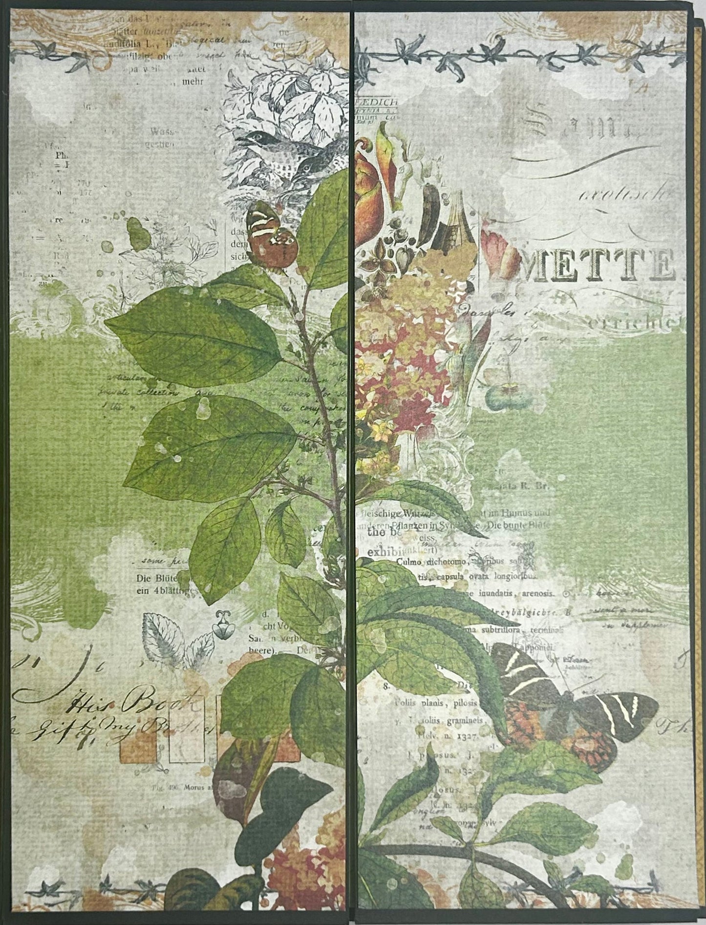 Orchard Memories Interactive Album
