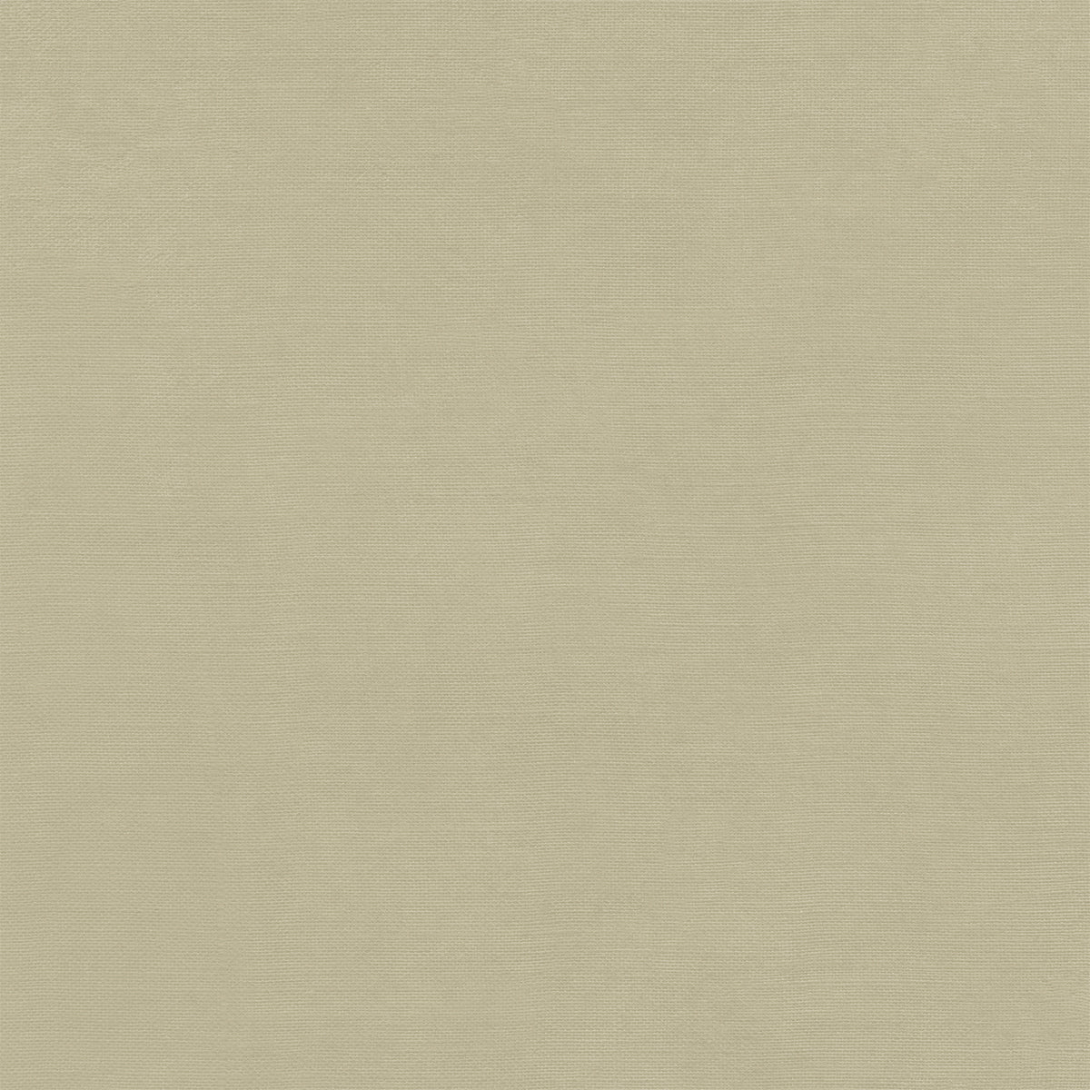 49 & Market Nature's Haven 12x12 Solids Collection Pack