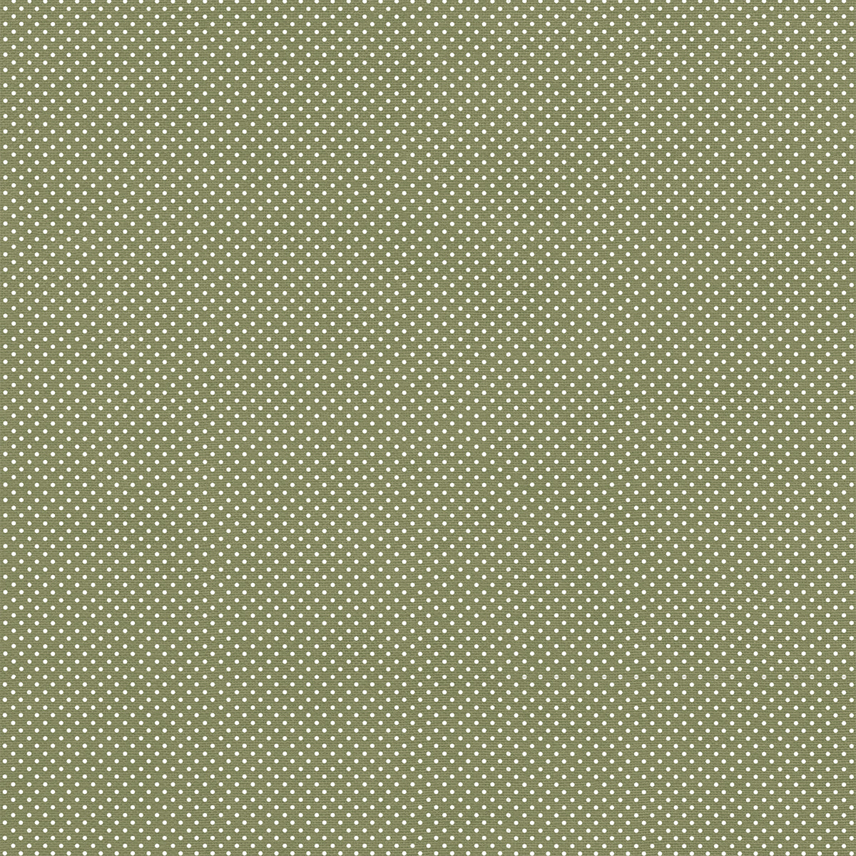 49 & Market Nature's Haven 12x12 Solids Collection Pack