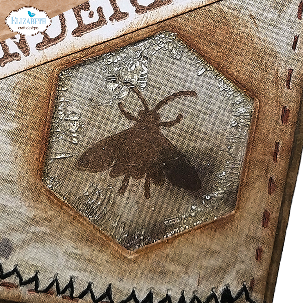 Elizabeth Craft Designs ATC Album *Special Kit*