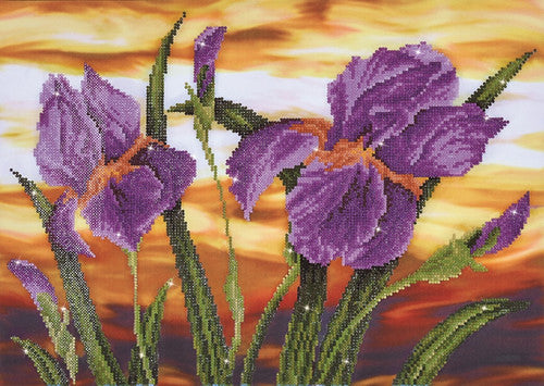 Diamond Dotz Iris Sunset