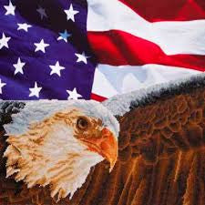 Diamond Dotz Bald Eagle & Flag - Kreative Kreations