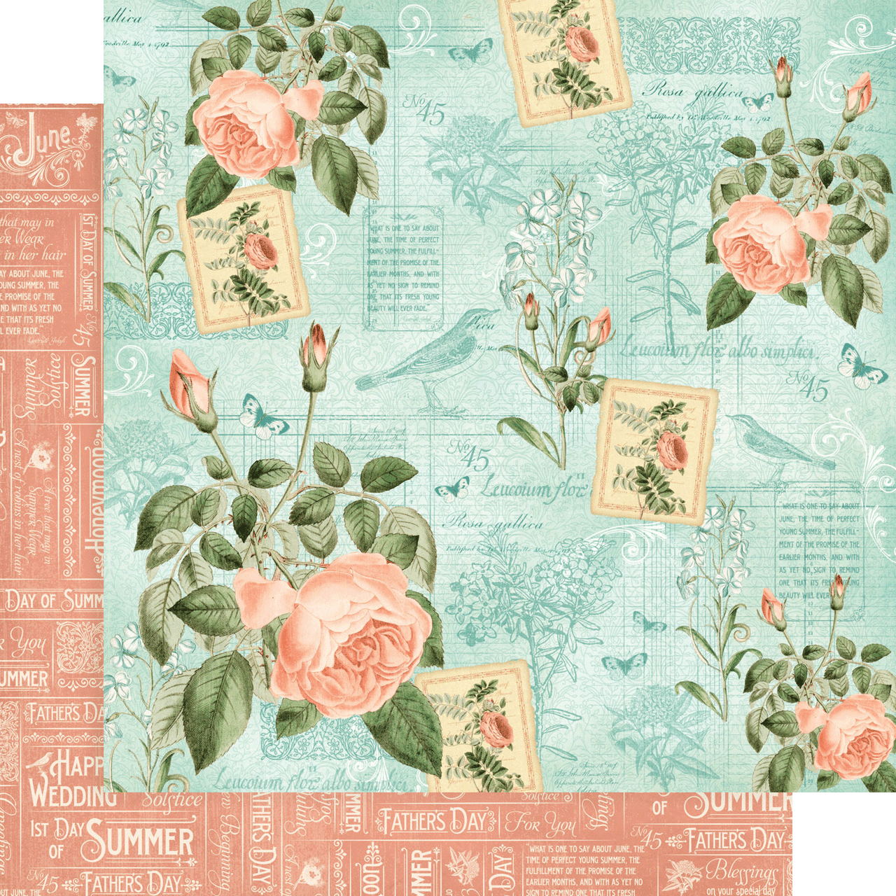 Scrapbooking Paper 12 x 12 sheet - SUMMER TIME - roses