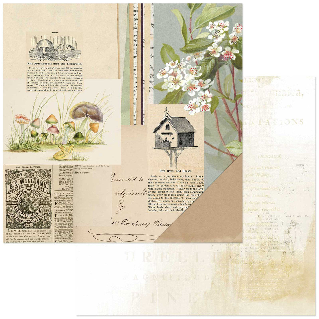 49 and Market Curators Meadow 12 x 12 Collection Pack