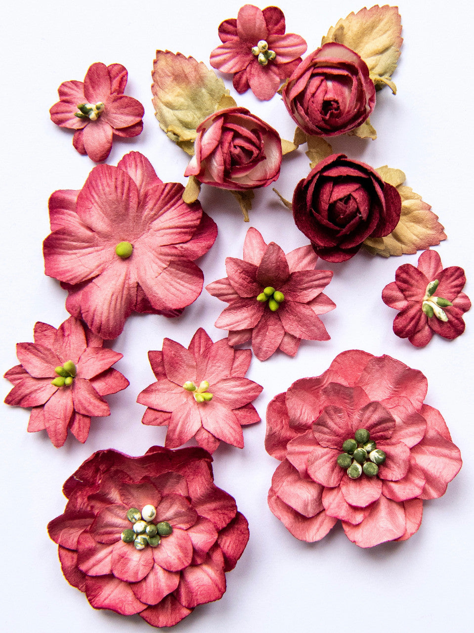 49 y Market Country florece flores escarlatas