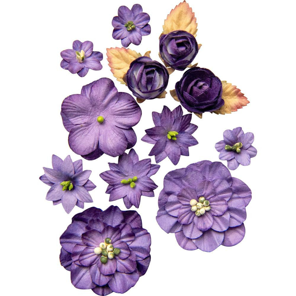 49 en Market Country bloeit violette bloemen