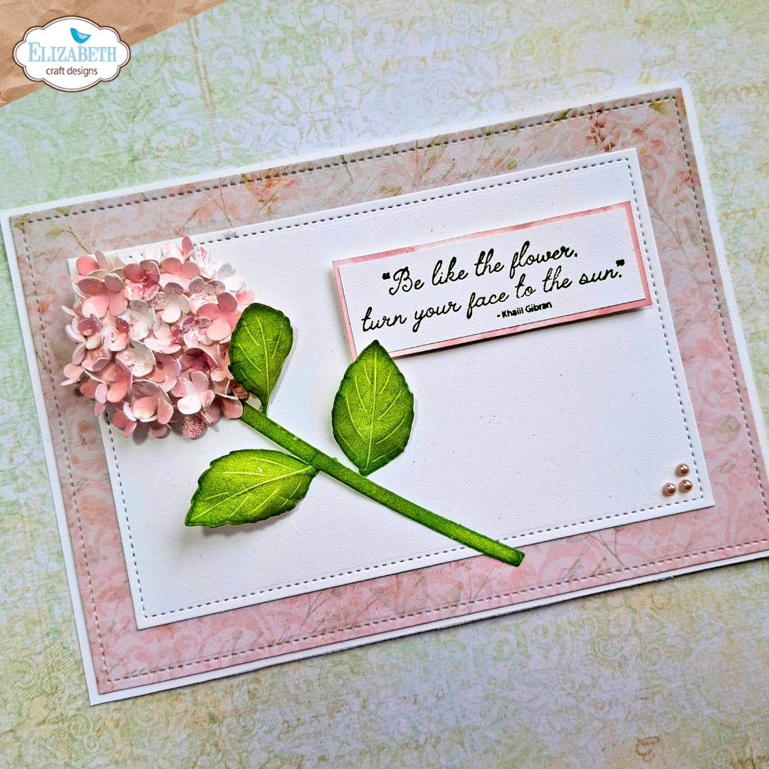 Elizabeth Craft Designs Stitched Rectangles and Labels Metal Die Set