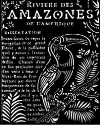 Stamperia dikke stencil Amazonia toekan 