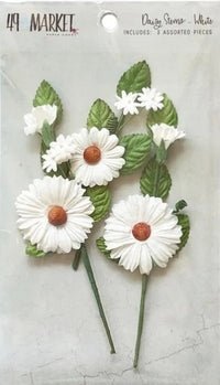 49 and Market Daisy Stems White Flowers