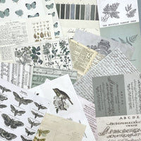 49 and Market Color Swatch Eucalyptus Collage Sheets