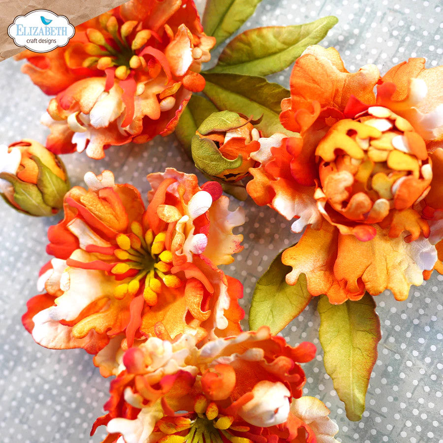 Elizabeth Craft Designs Juego de troqueles florales 21