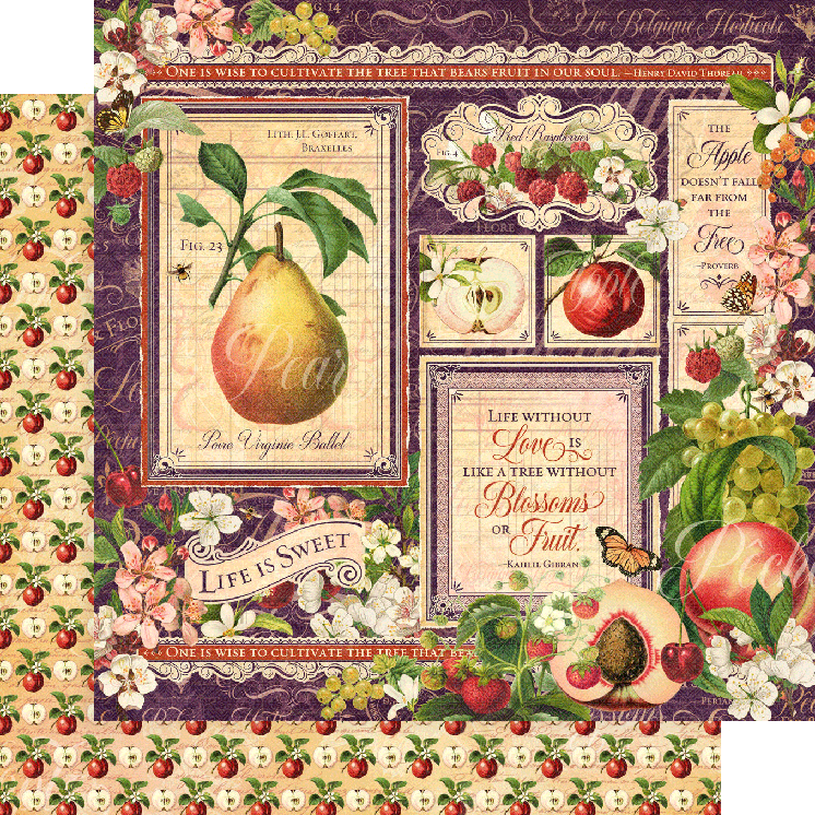 Graphic 45 Fruit and Flora 8 x 8 Paper Pad
