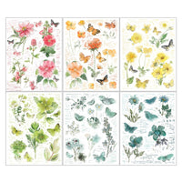 49 & Market Spectrum Sherbet - 6x8 Botanicals Rub-On Transfer Set