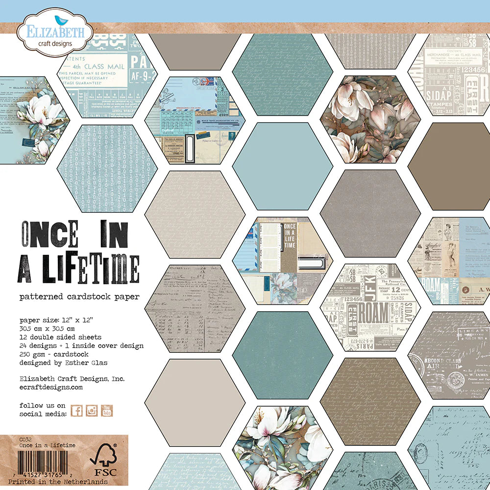 Elizabeth Craft Designs Once in a Lifetime 12x12 Paper Pack