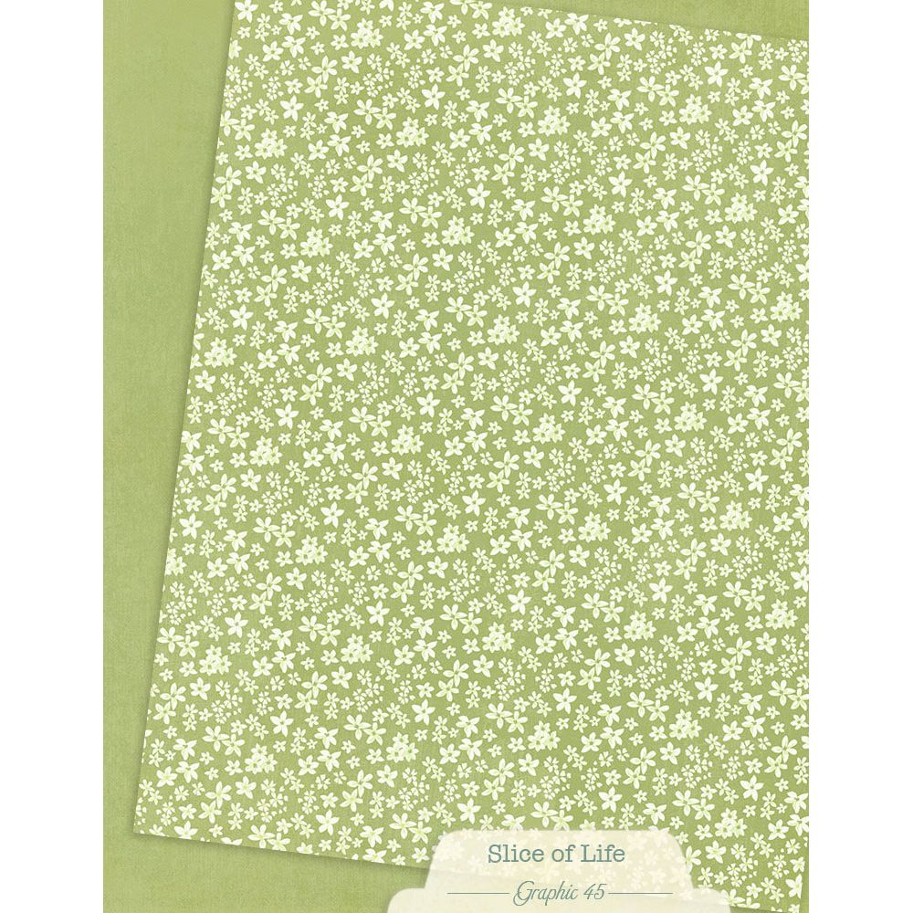 Graphic 45 Slice of Life 8.5” x 11” Patterns & Solids Pack