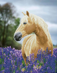 Diamond Dotz-paard in een veld