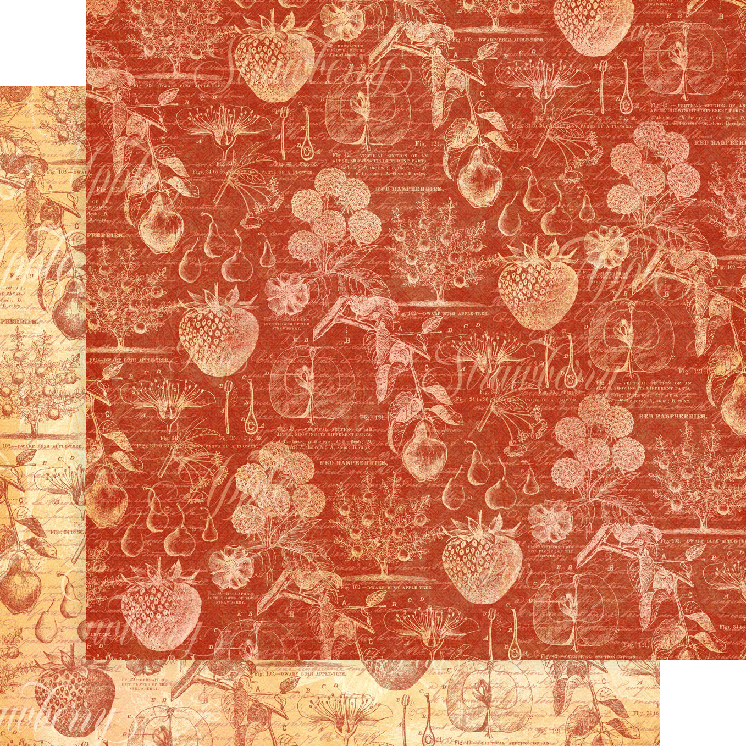 Bloc de papel Graphic 45 Frutas y Flora 8 x 8
