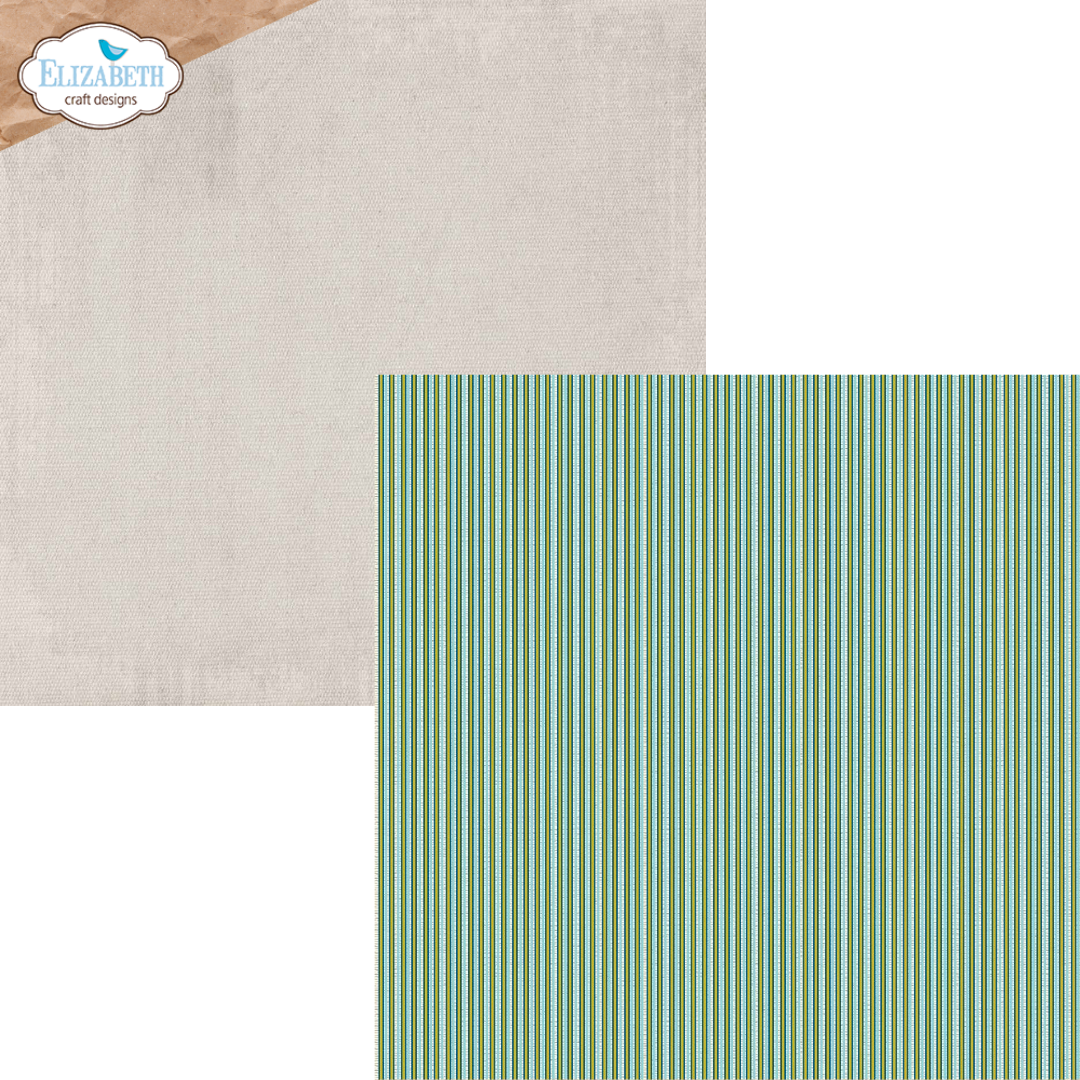 Elizabeth Craft Designs Delightful Discovery 12” x 12” Paper Pack