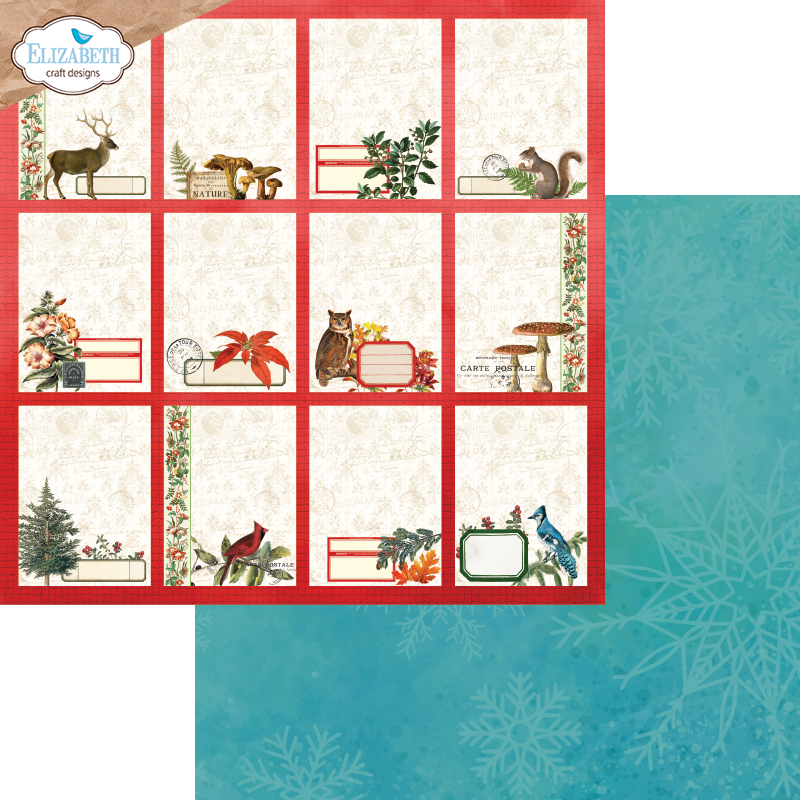 Elizabeth Craft Designs Comfy Cozy 12” x 12” Paper Pack
