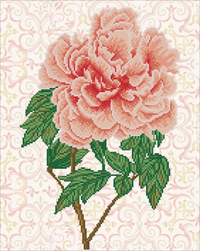 Diamond Dotz Rose Blush