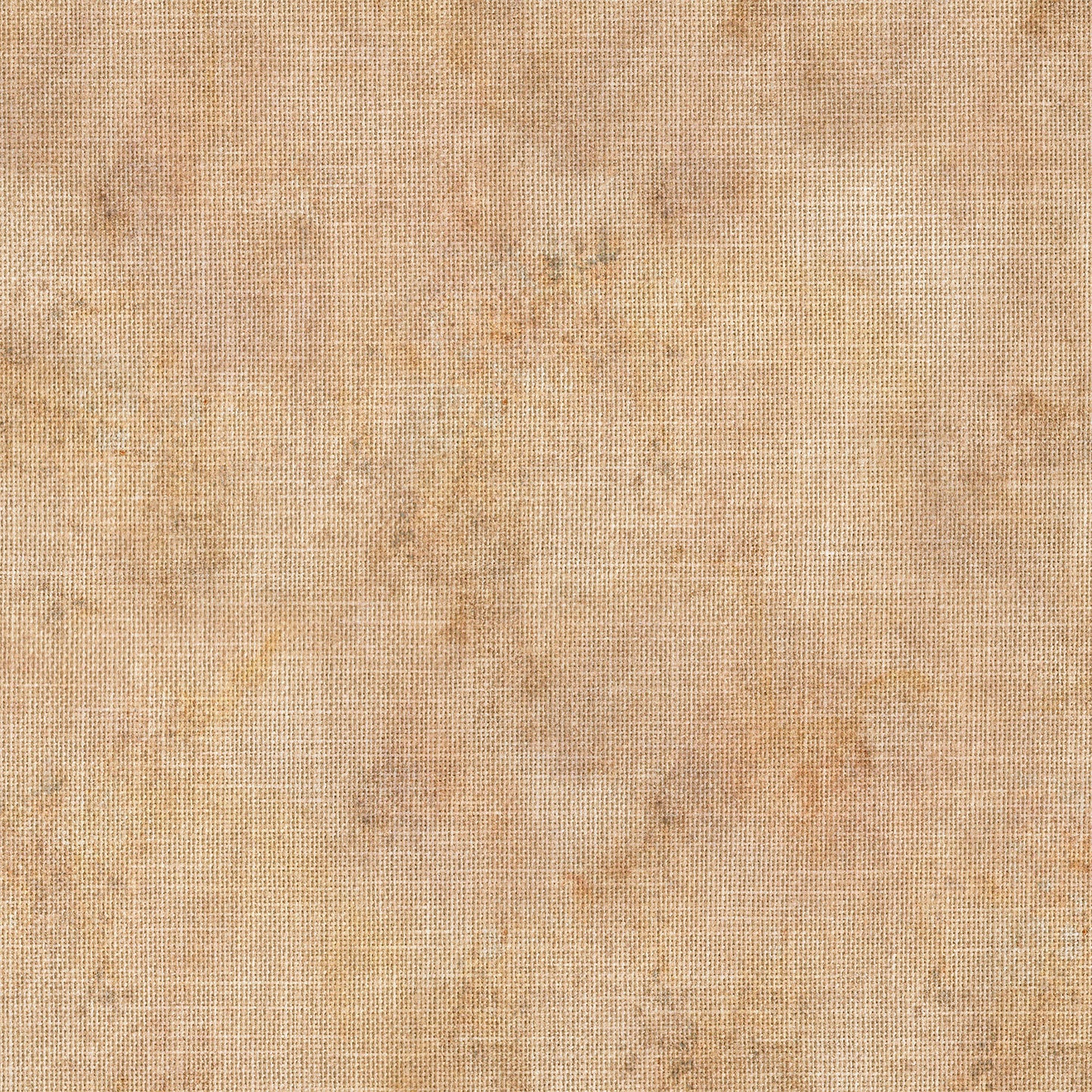 49 & Market Botanical Buzz 12x12 Collection Pack