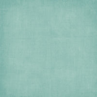 49 & Market Botanical Buzz 12x12 Solids Collection Pack