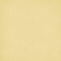49 & Market Botanical Buzz 12x12 Solids Collection Pack