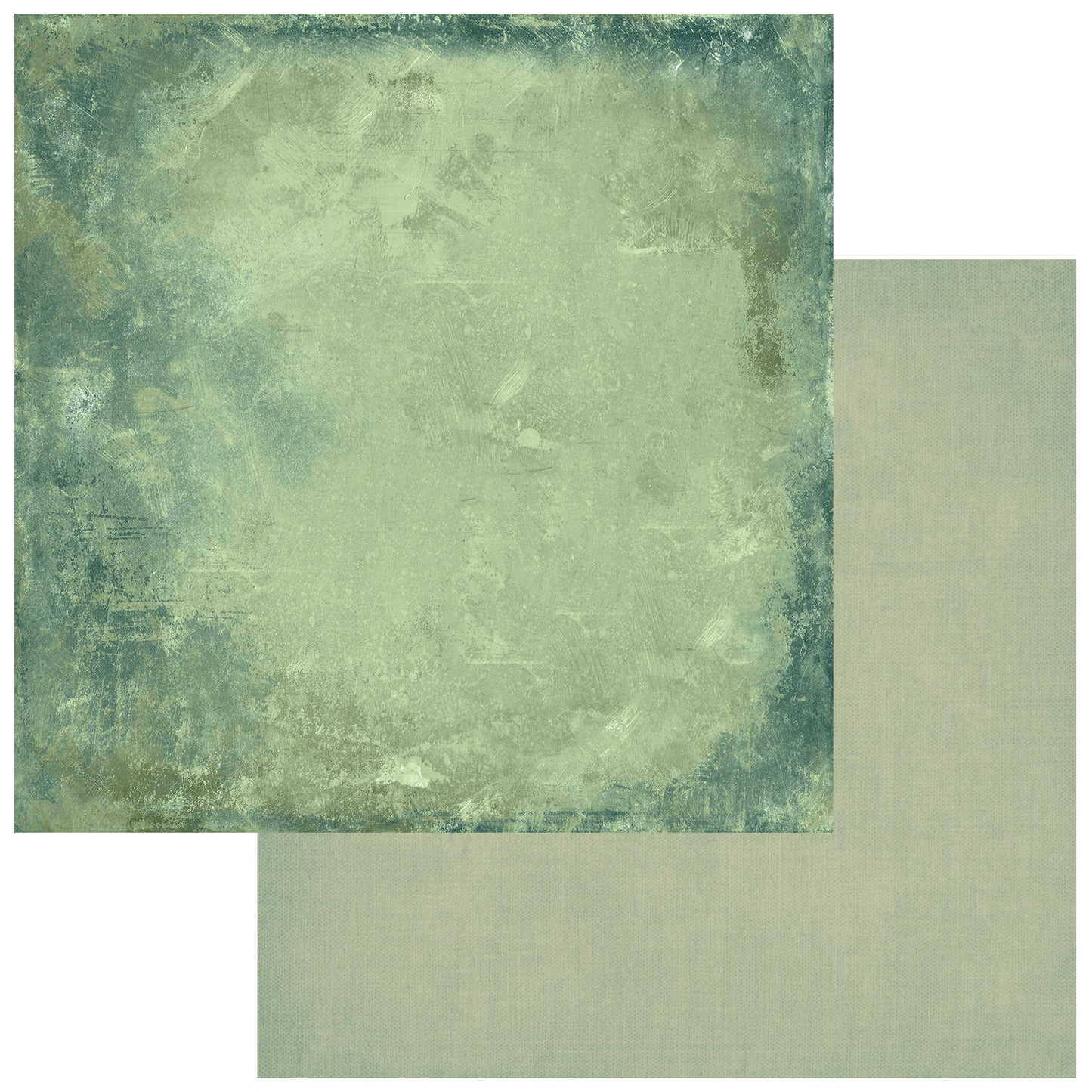 49 & Market Botanical Buzz 12x12 Solids Collection Pack