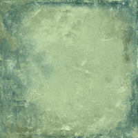 49 & Market Botanical Buzz 12x12 Solids Collection Pack