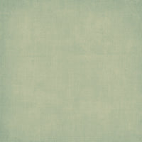 49 & Market Botanical Buzz 12x12 Solids Collection Pack