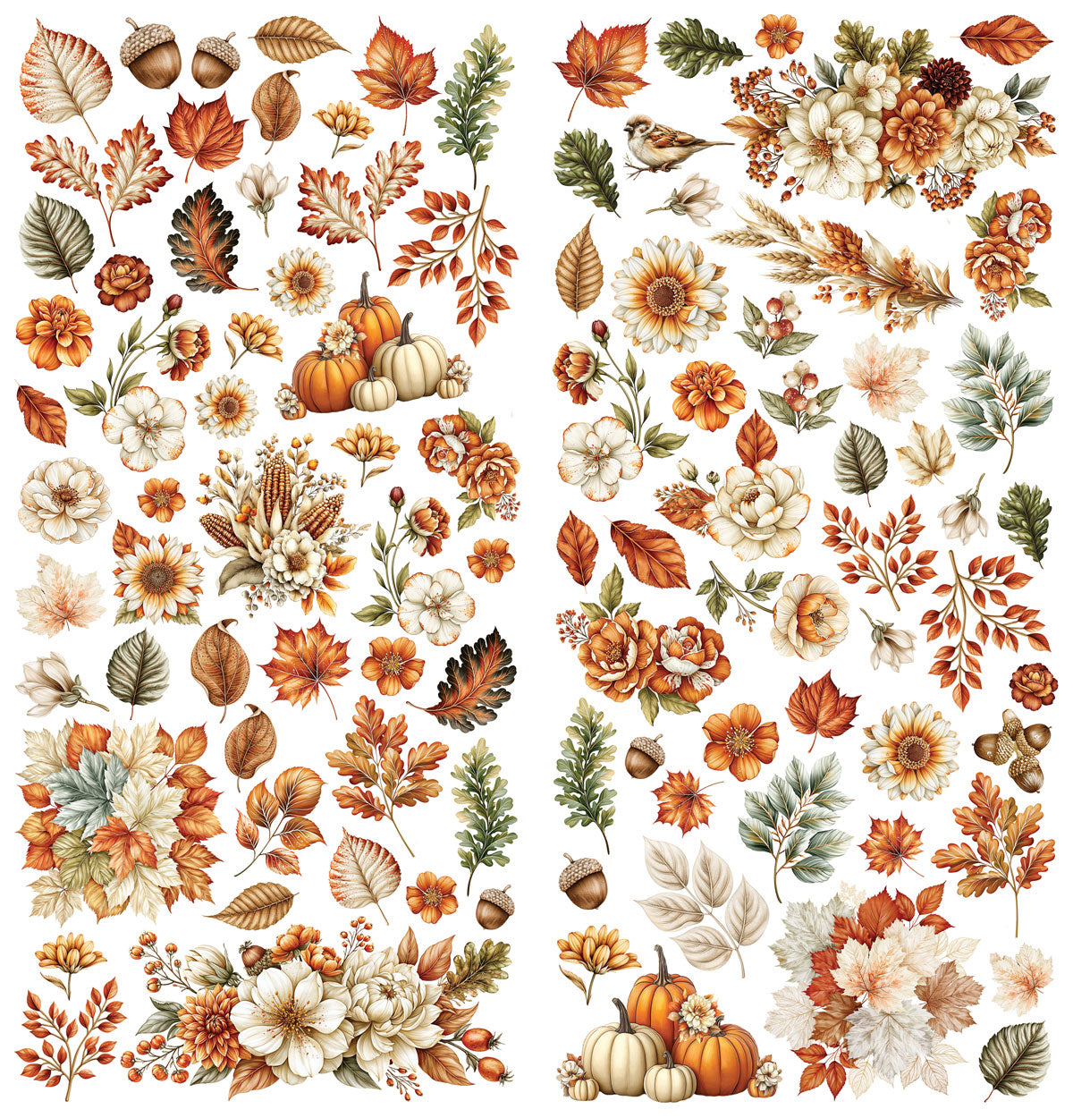 49 & Market Season's Bounty Laser Cut Wildflowers