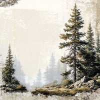 49 & Market Timber & Tweed 12x12 Collection Pack