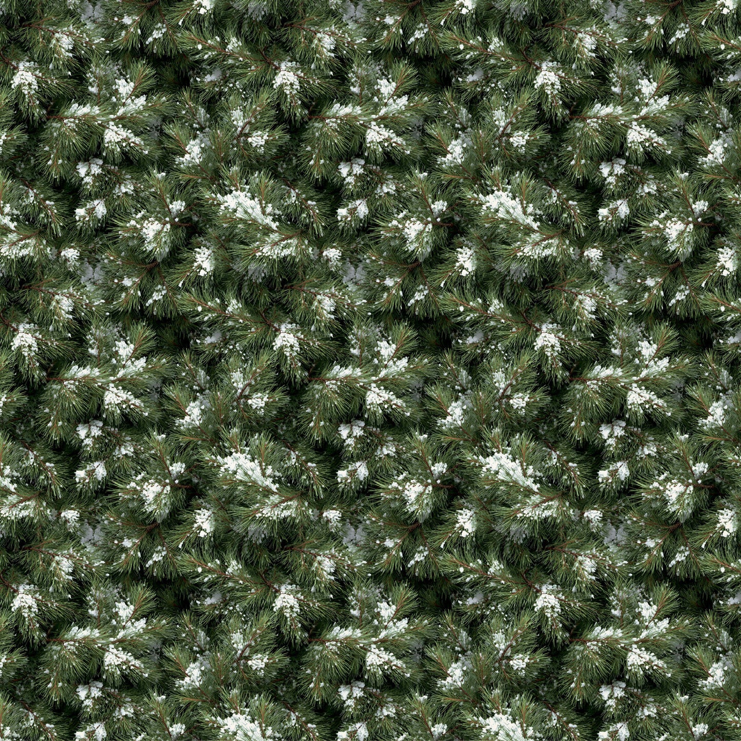 49 & Market Timber & Tweed 12x12 Collection Pack