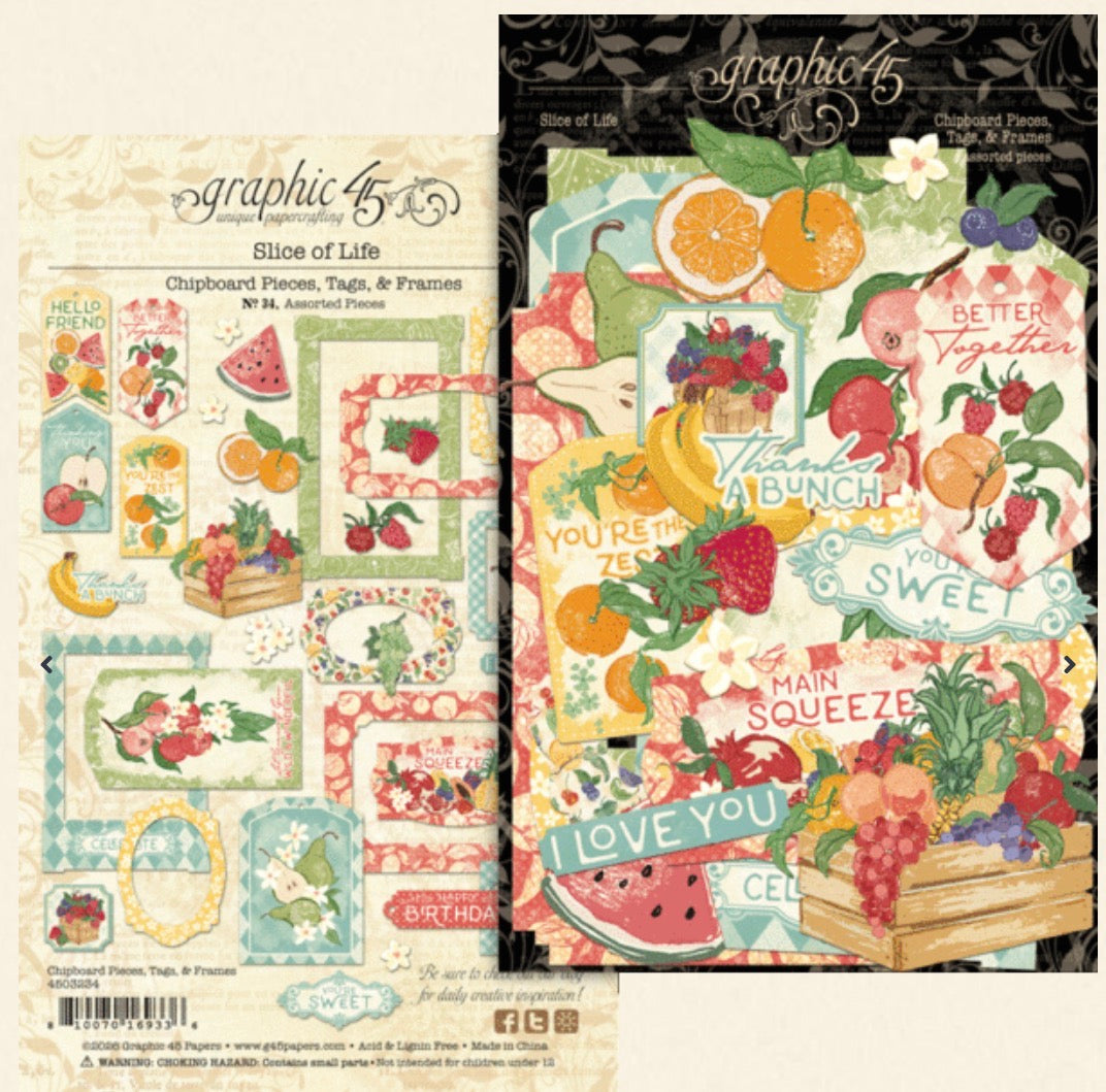 Graphic 45 Slice of Life Album Kit