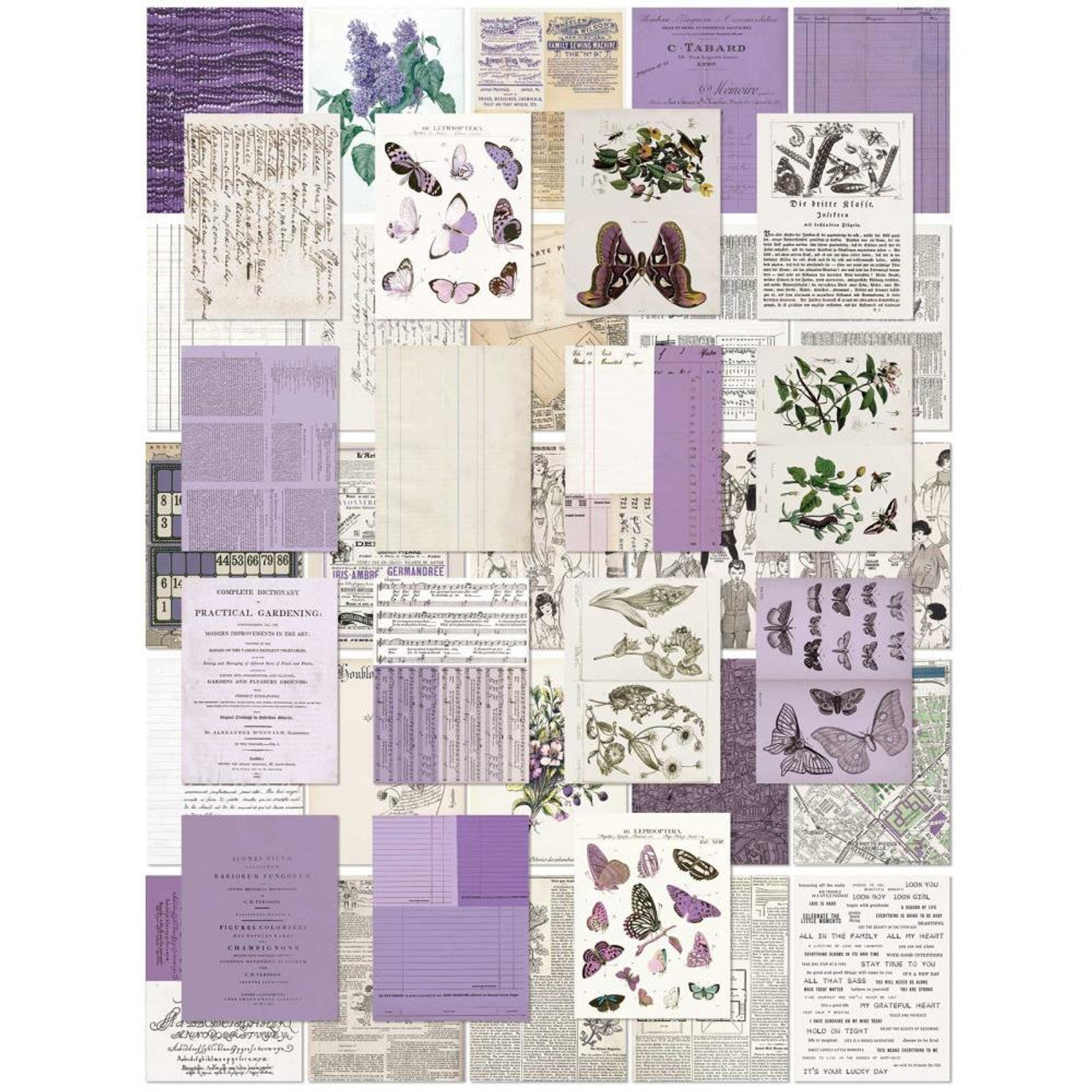 49 y hojas de collage de lavanda del mercado