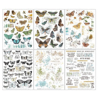 49 en Market Vintage Artistry Nature Study 6 x 8 vleugels wrijven op overdrachtset