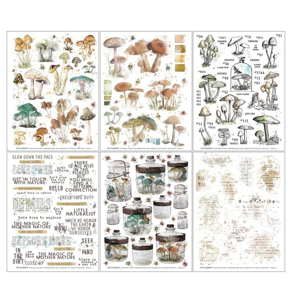 49 and Market Vintage Artistry Nature Study 6 x 8 Mushroom Rub On Transfer Set