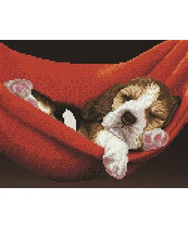 Diamond Art Dog in a Hammock