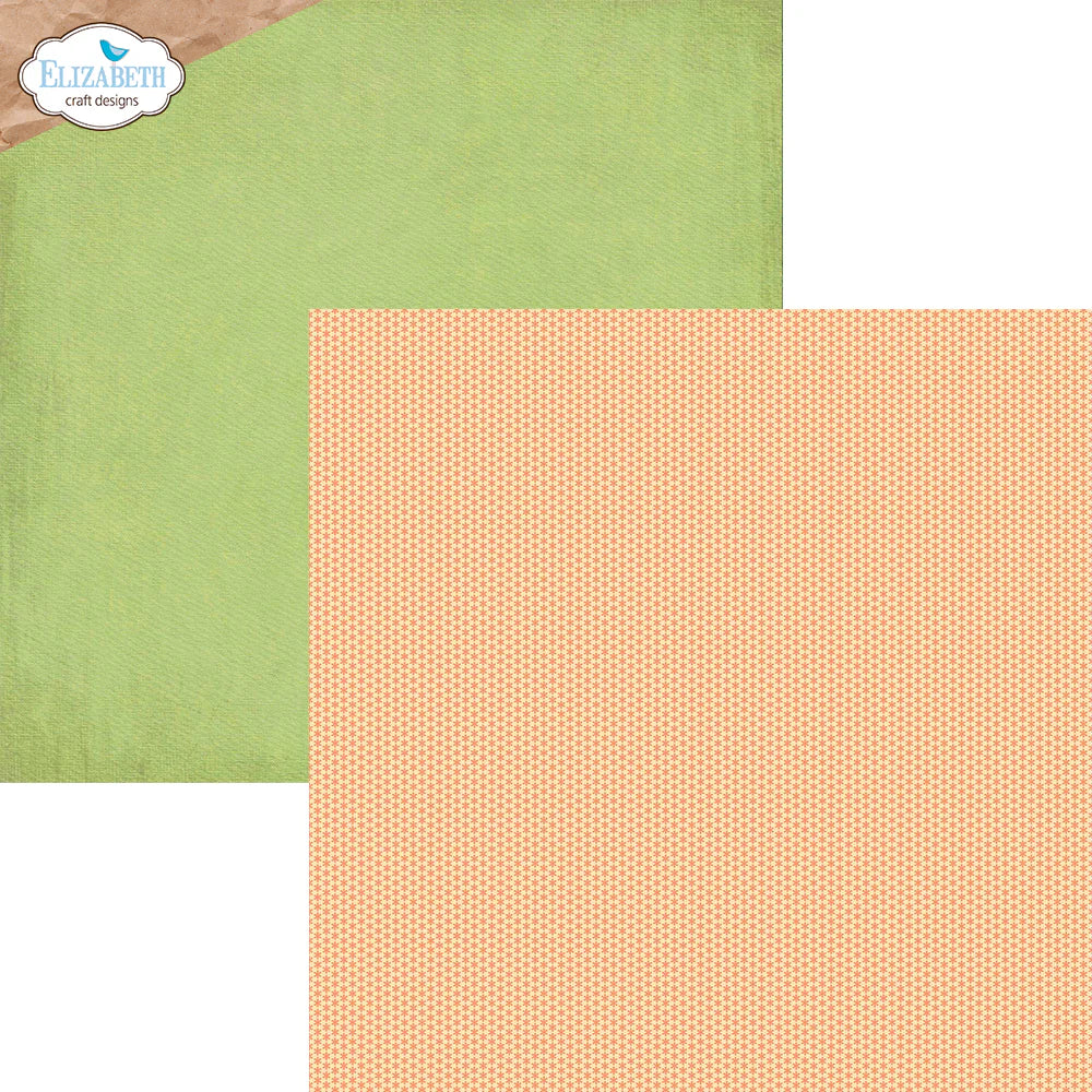 Elizabeth Craft Designs Colorful Collective 12” x 12” Paper Pack