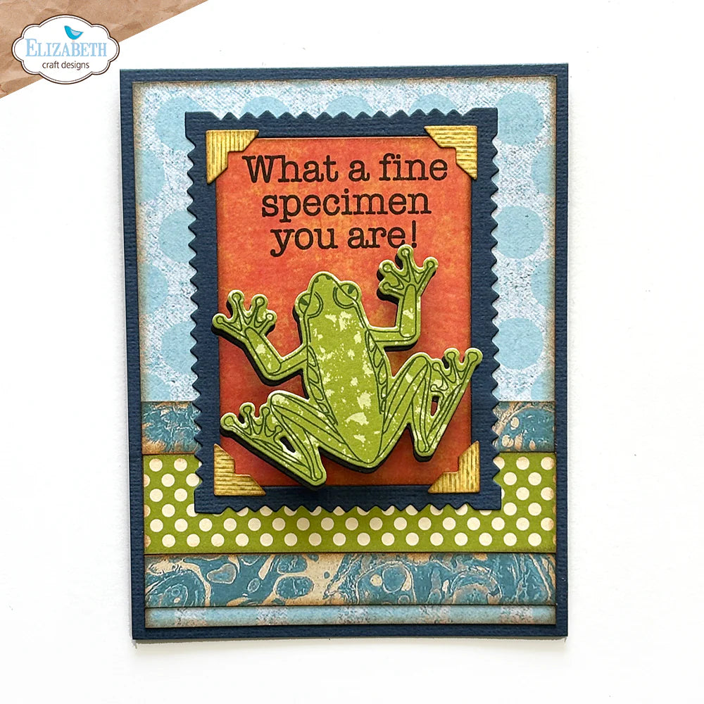 Elizabeth Craft Designs Beetles and Bugs Die & Stamp Set