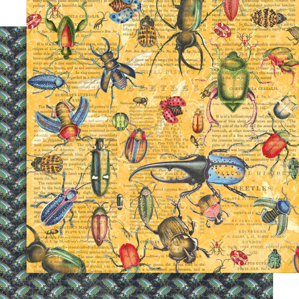 Graphic 45 Flutter - Keepsake Kit (with Exclusive Metal Die Set)