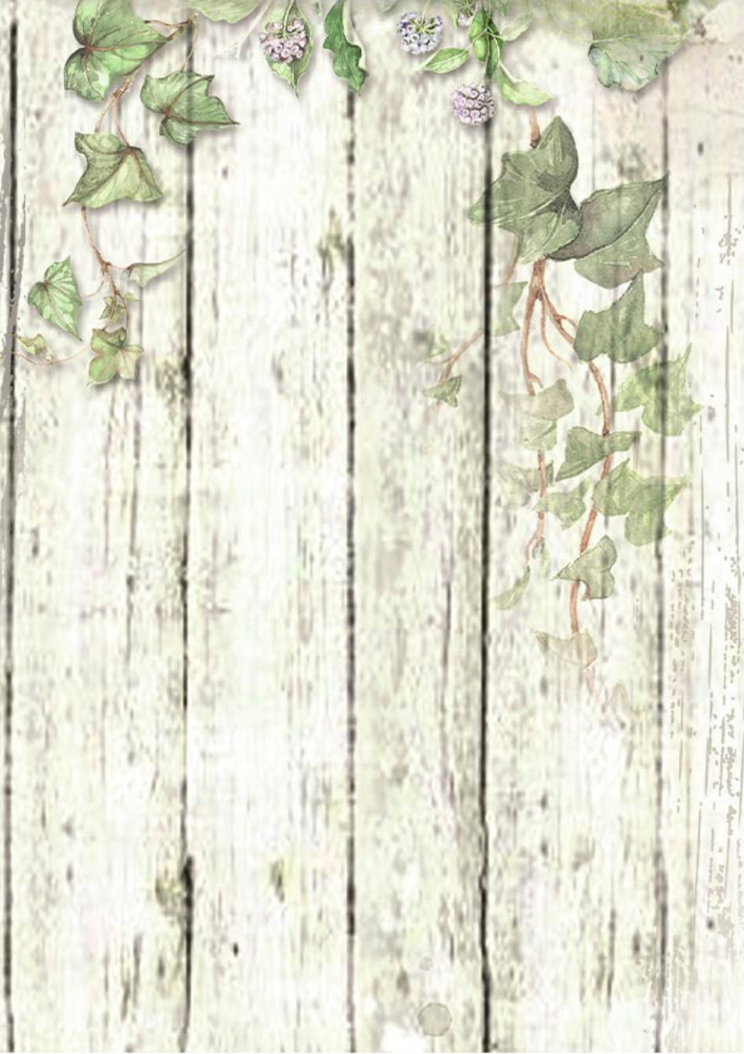 Stamperia House of Roses Backgrounds A6 Rice Papers (8/Pk)