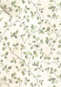 Stamperia House of Roses Backgrounds A6 Rice Papers (8/Pk)