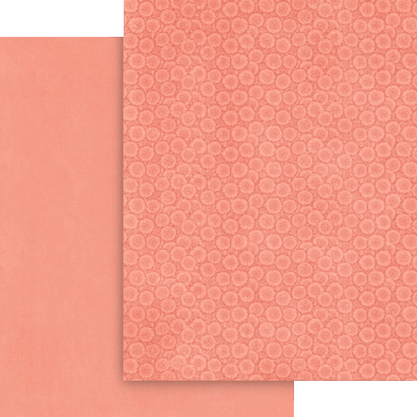 Graphic 45 Fairy Boutique 8.5” x 11” Patterns & Solids Pack
