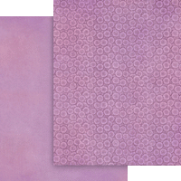 Graphic 45 Fairy Boutique 8.5” x 11” Patterns & Solids Pack