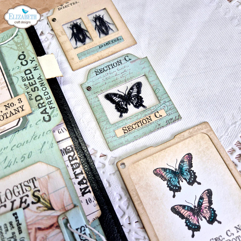 Elizabeth Craft Designs Postage Stamps 3 Stamp Set