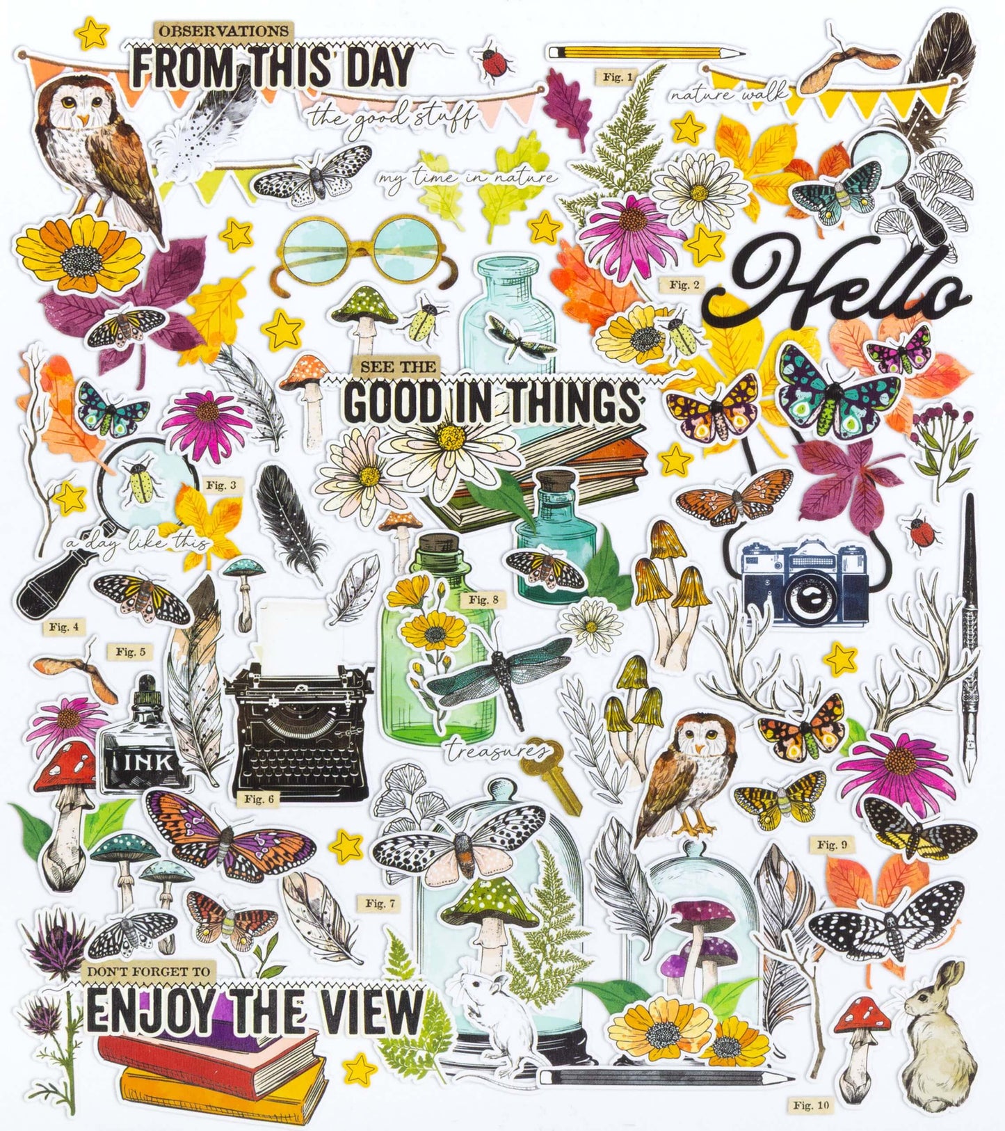 49 & Market Curiosities in Willow Grove Icons and Titles Ephemera Set