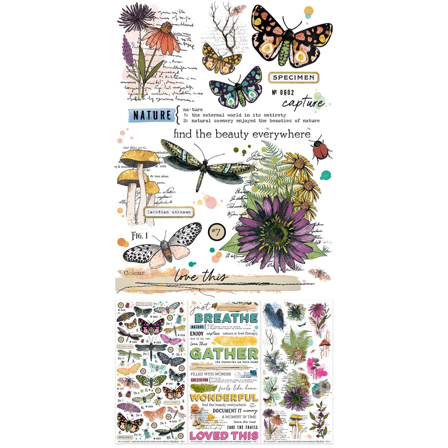 49 & Market Curiosities in Willow Grove Essential 6 x 12 Rub-On Transfer Set