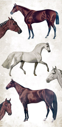 Stamperia Romantic Collection - Horses 6” x 12” Paper Collection