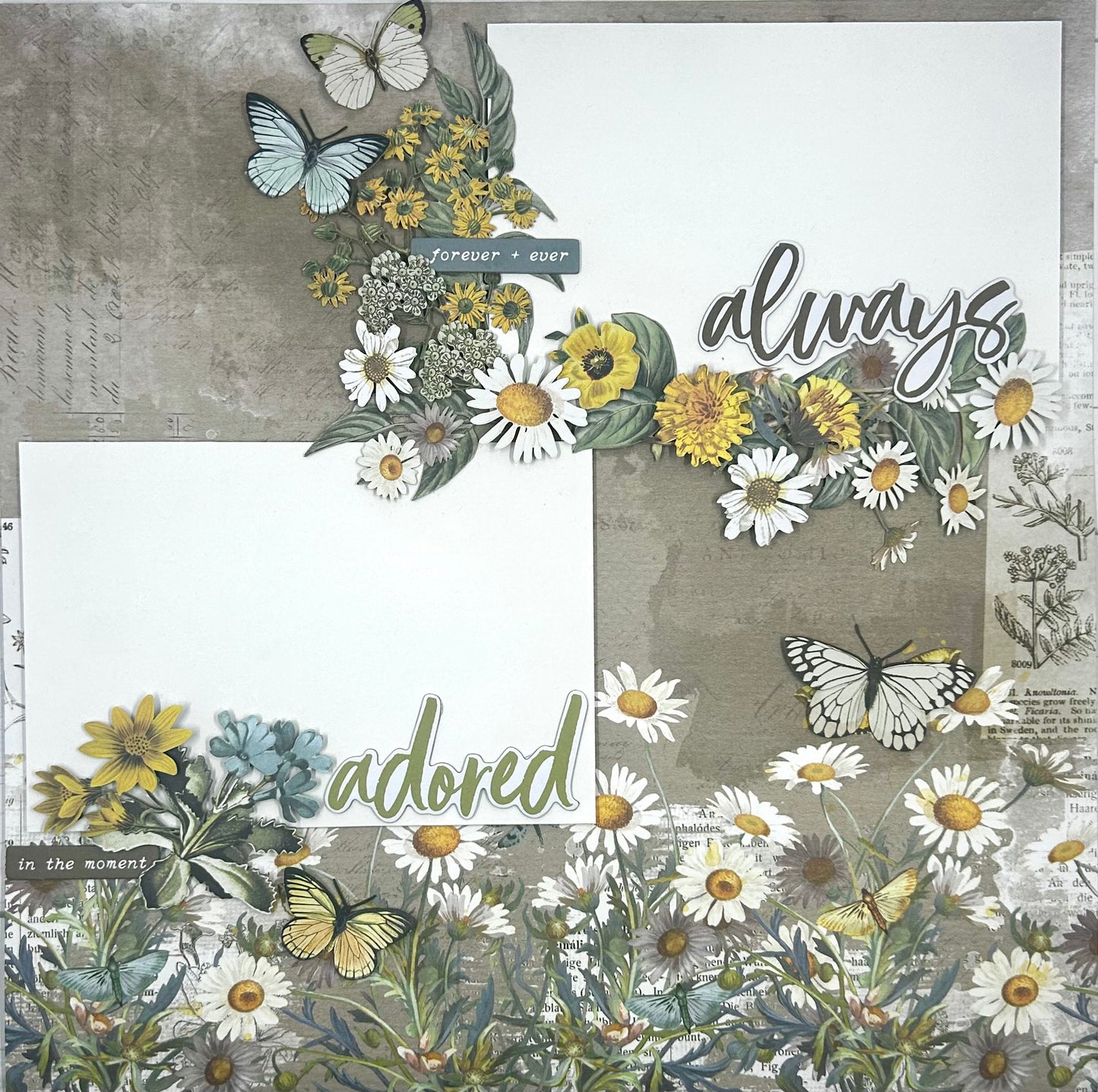 Lovely Dreamer 2-Page Layout (Virtual Class 93)